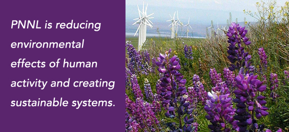 Image of the wild flowers and wind turbines.